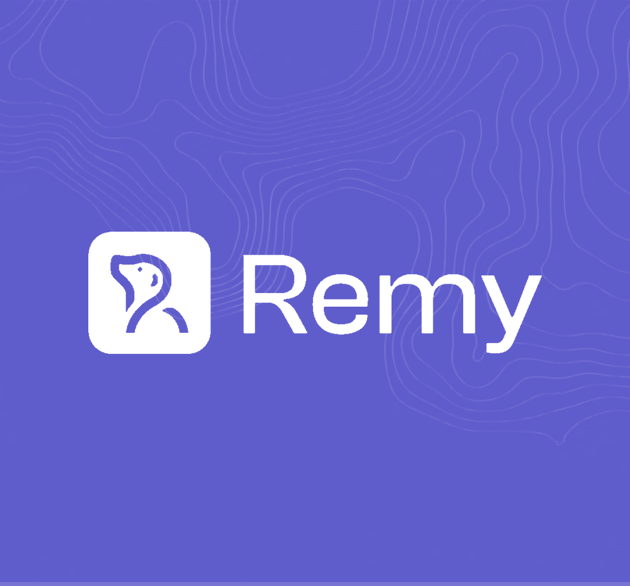 Remy Securities